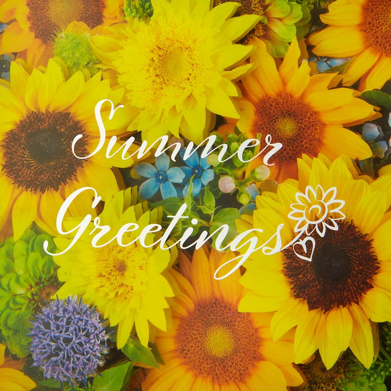 Sunflower Flower Box Greeting Card